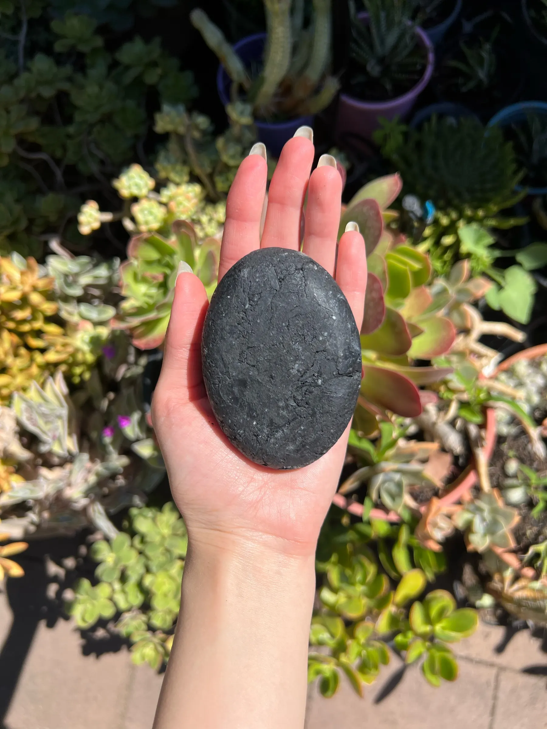 Black oval activated charcoal facial cleanser bar held on an open palm above succulents