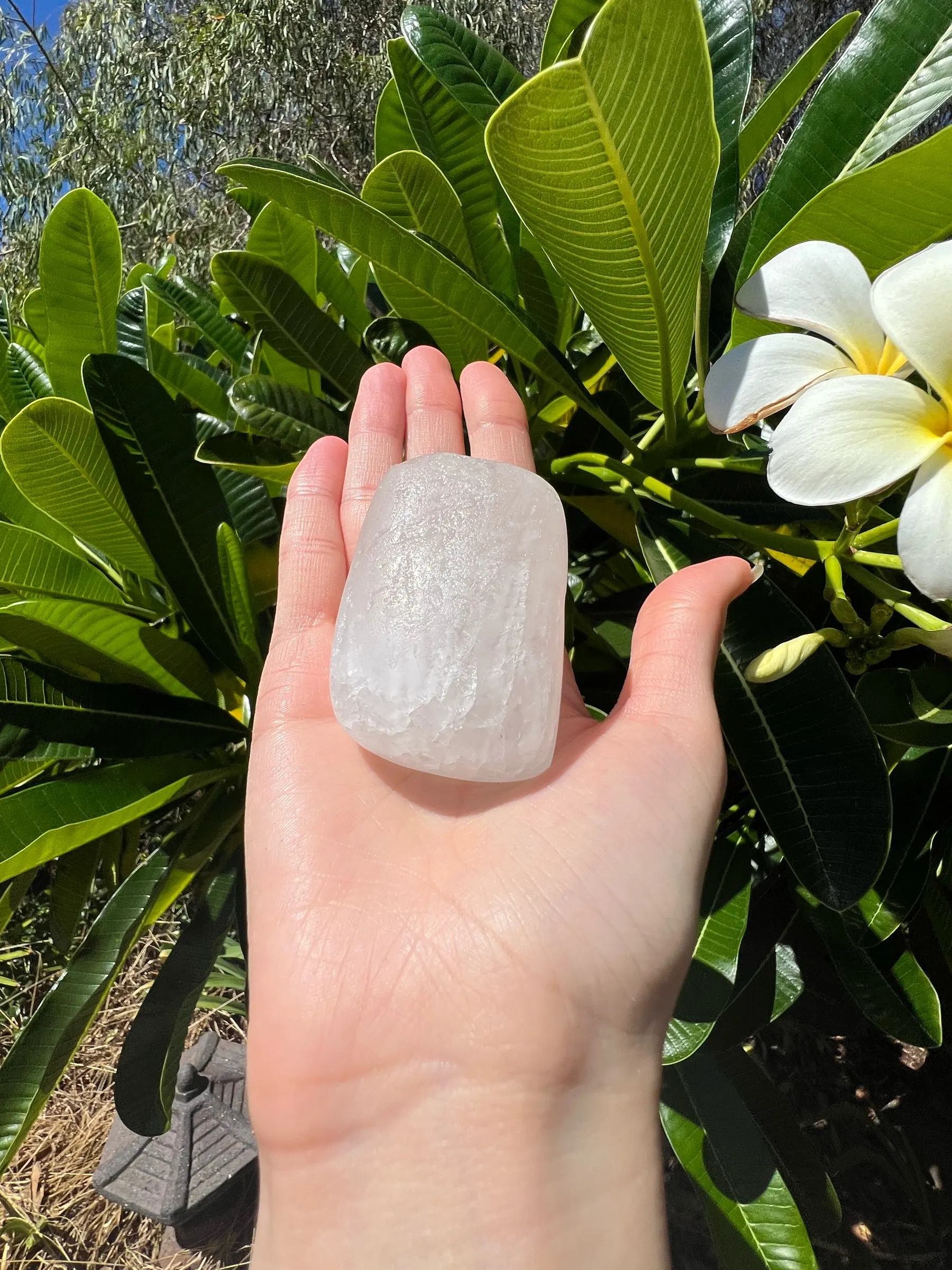 Translucent crystal alum deodorant bar held in a hand beside white frangipani flowers