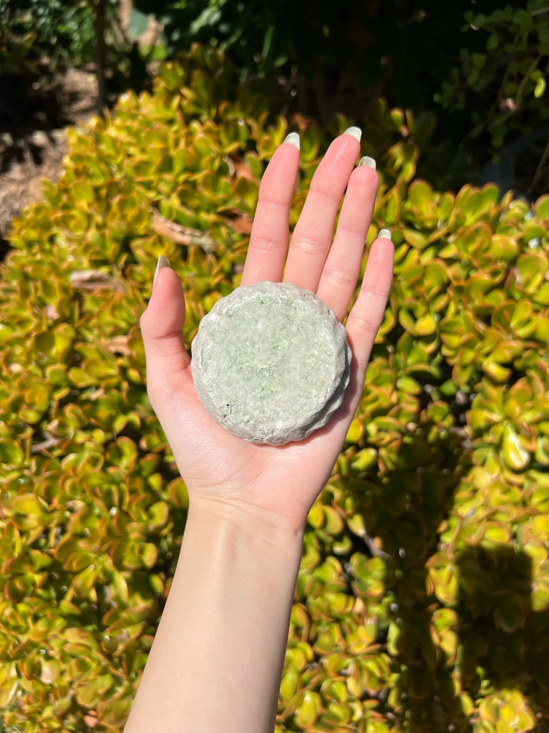 Pale silver-green Indigo shampoo bar with visible botanical flecks, held on an open palm