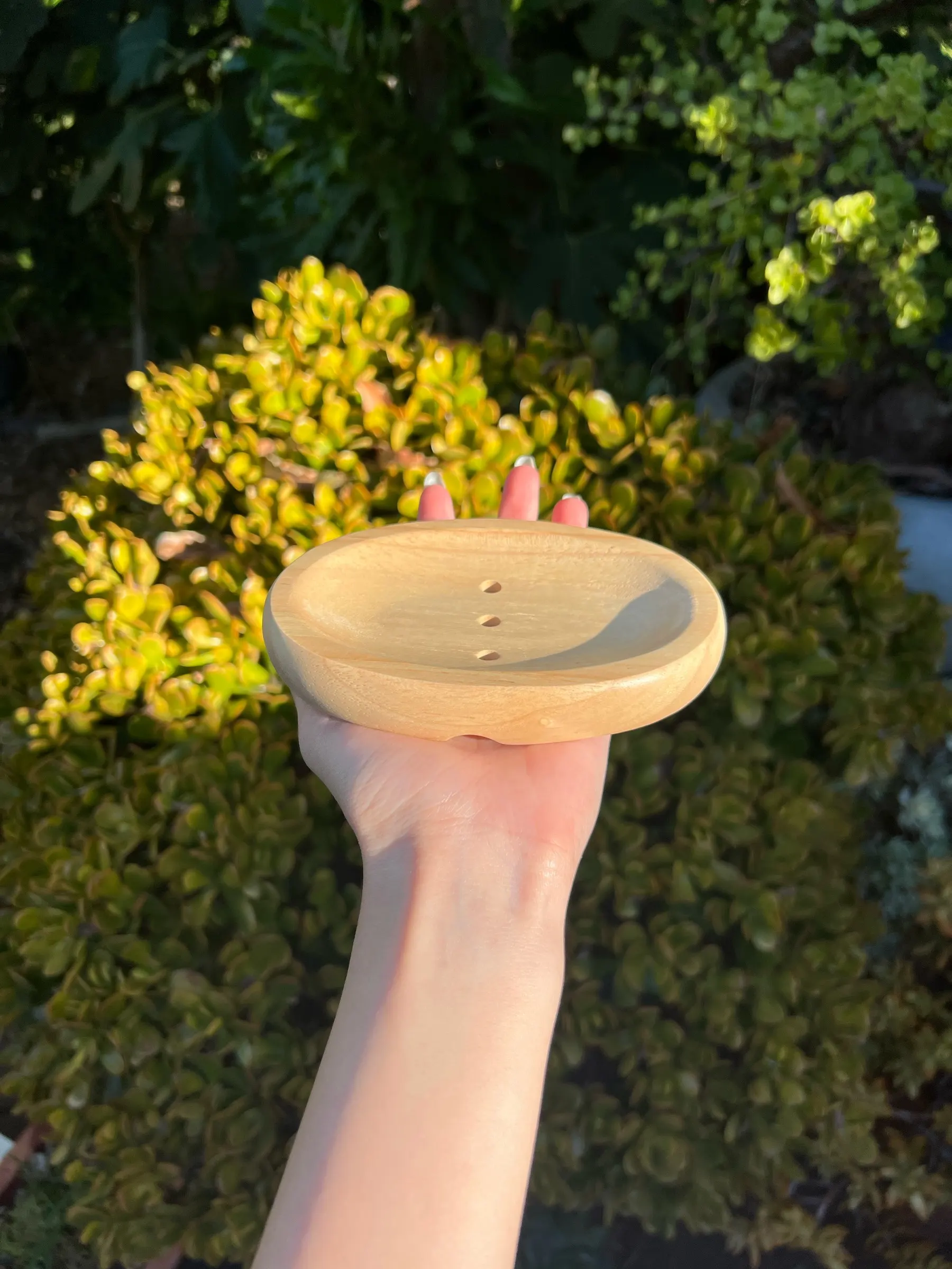 Oval beechwood soap dish with three drainage holes, held up against garden greenery