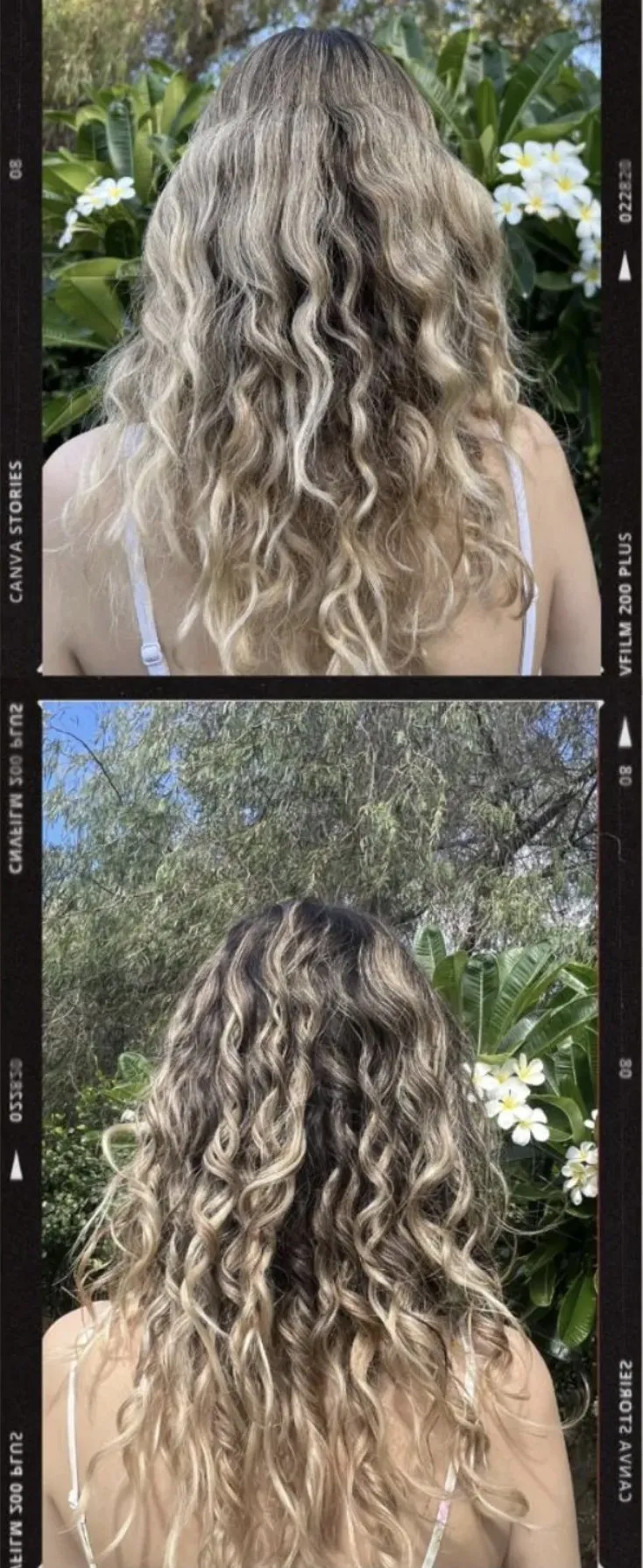 Before and after photos of a customer's blonde curly hair — dry and frizzy above, soft defined curls below
