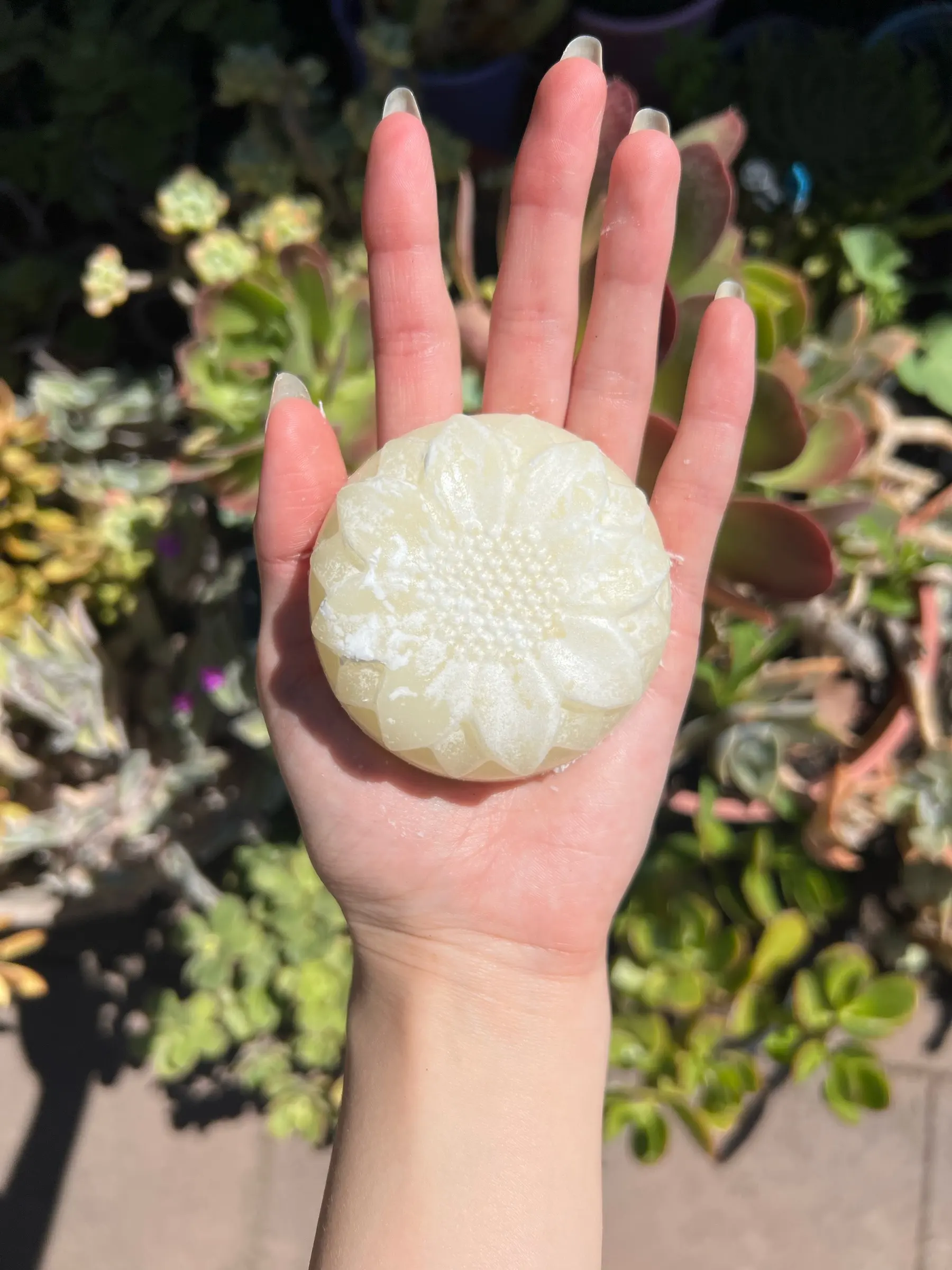 Pearl-white body moisturiser bar embossed with a flower design, held on an open palm
