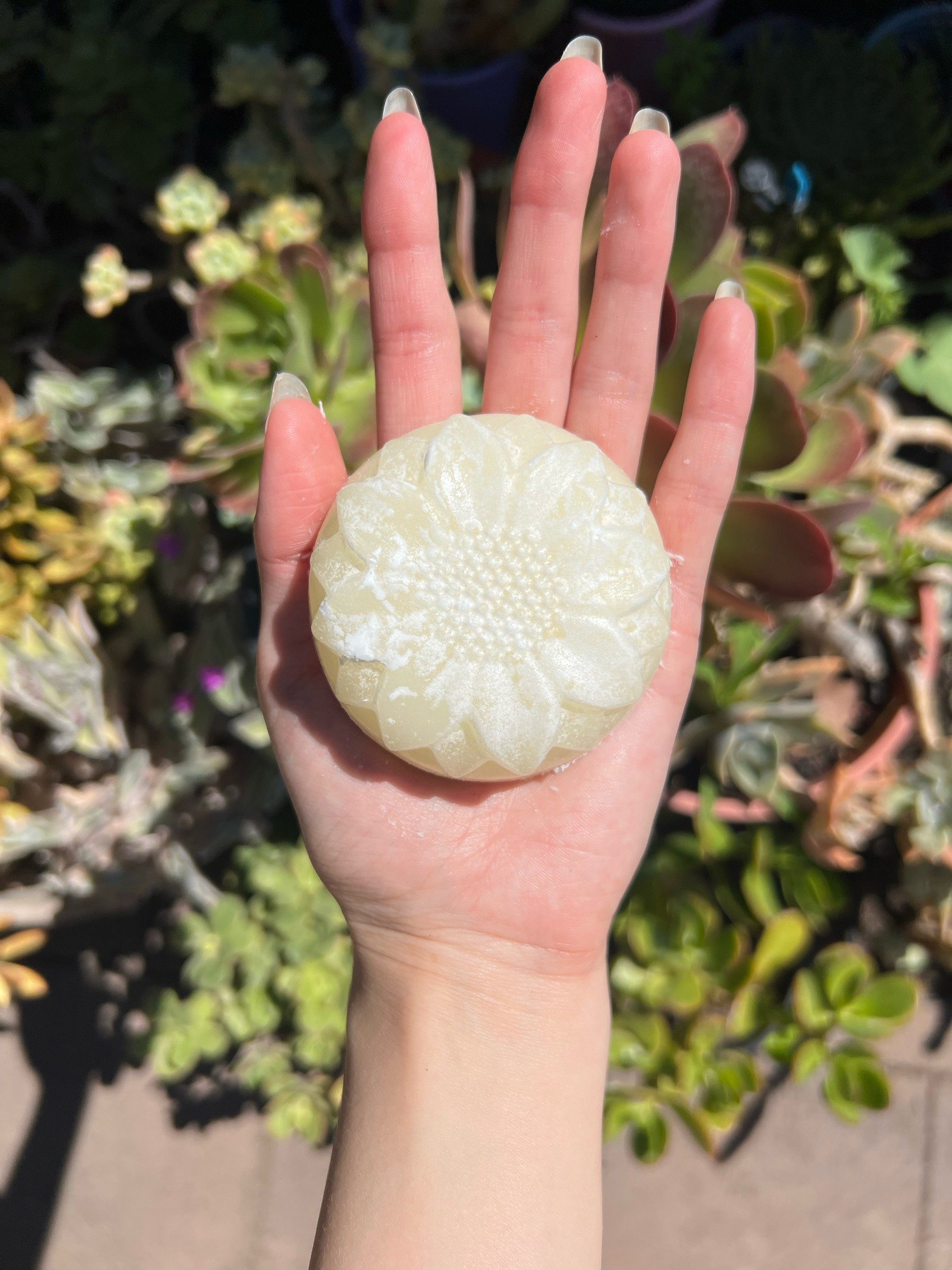 Pearl-white body moisturiser bar embossed with a flower design, held on an open palm