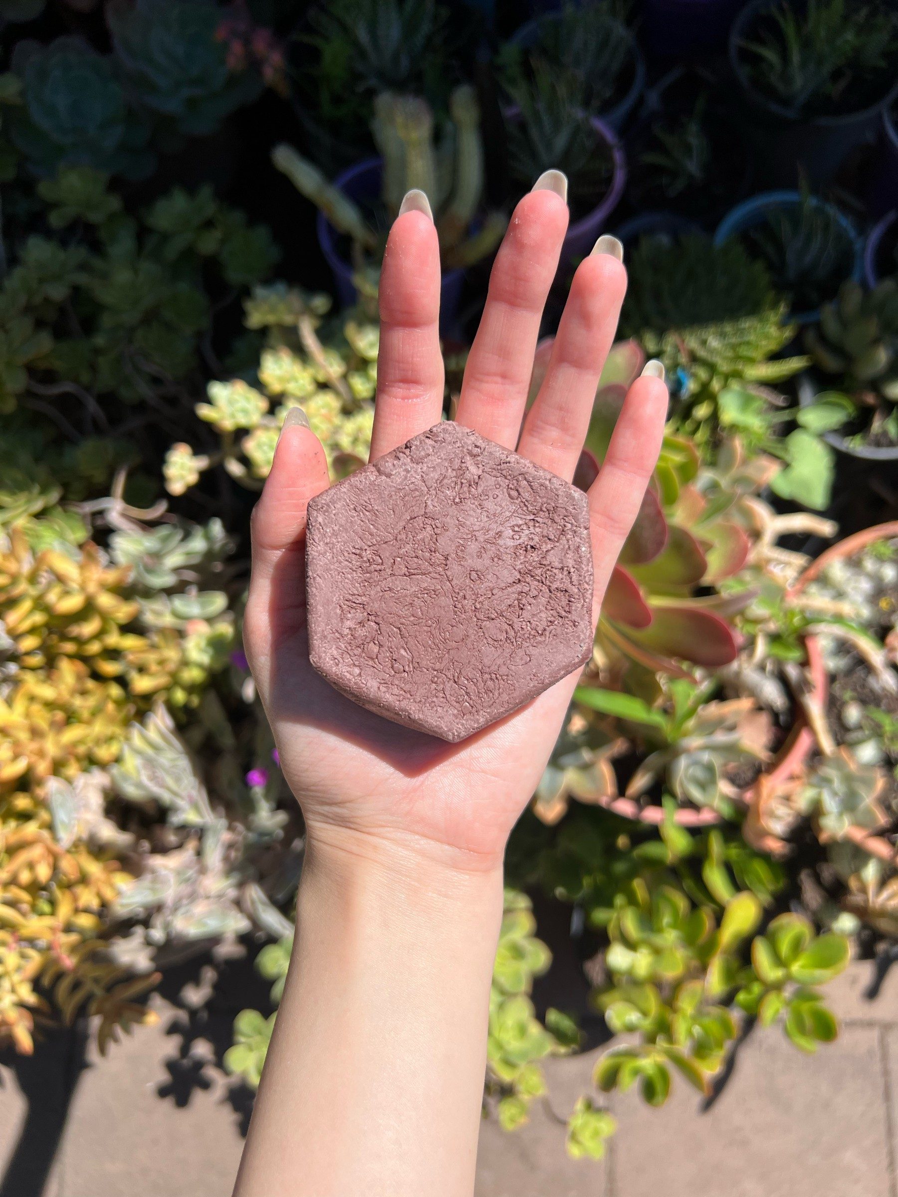 Hexagonal dusty-purple Brazilian clay soap bar held on an open palm above succulents
