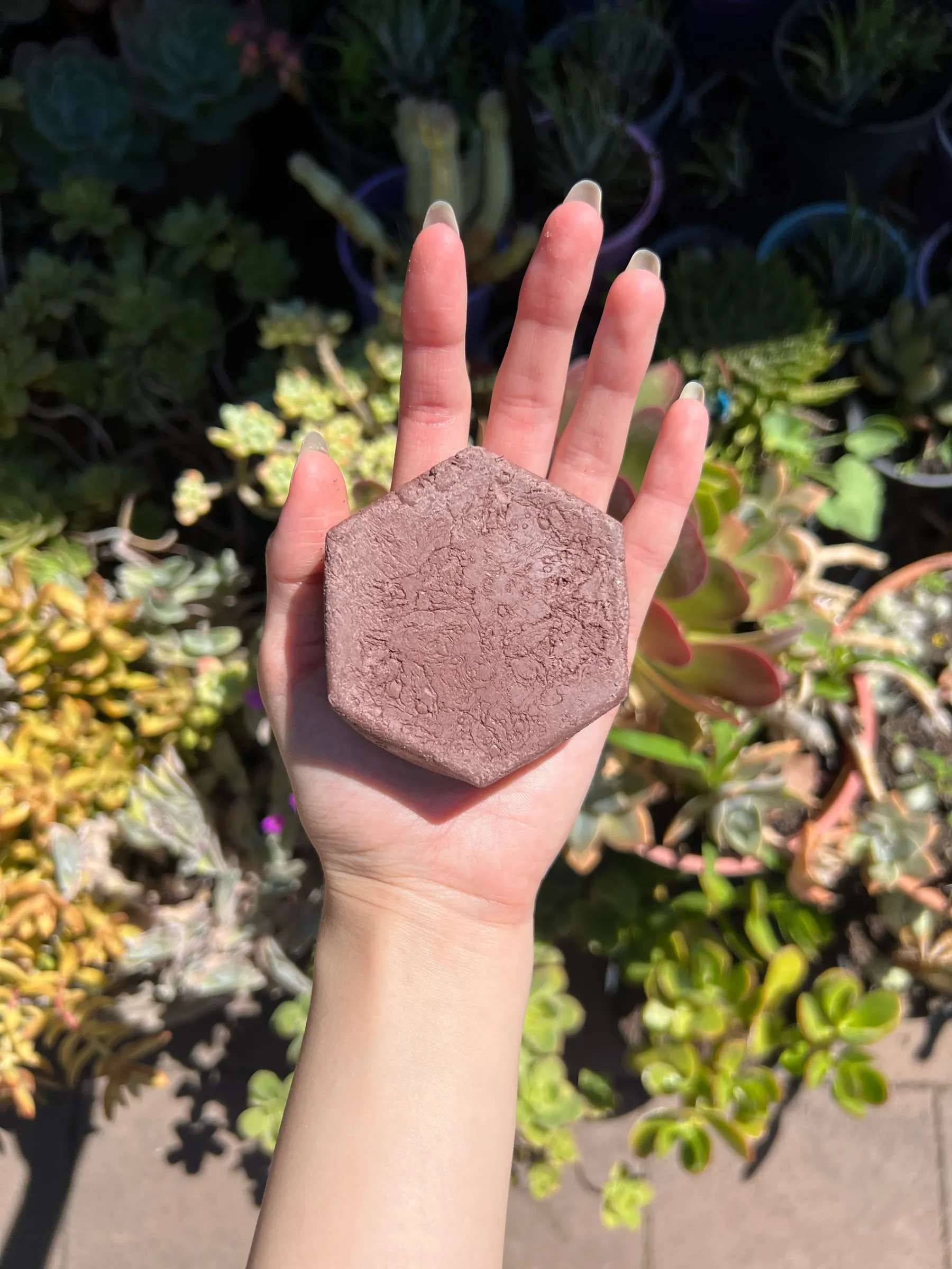 Hexagonal dusty-purple Brazilian clay soap bar held on an open palm above succulents