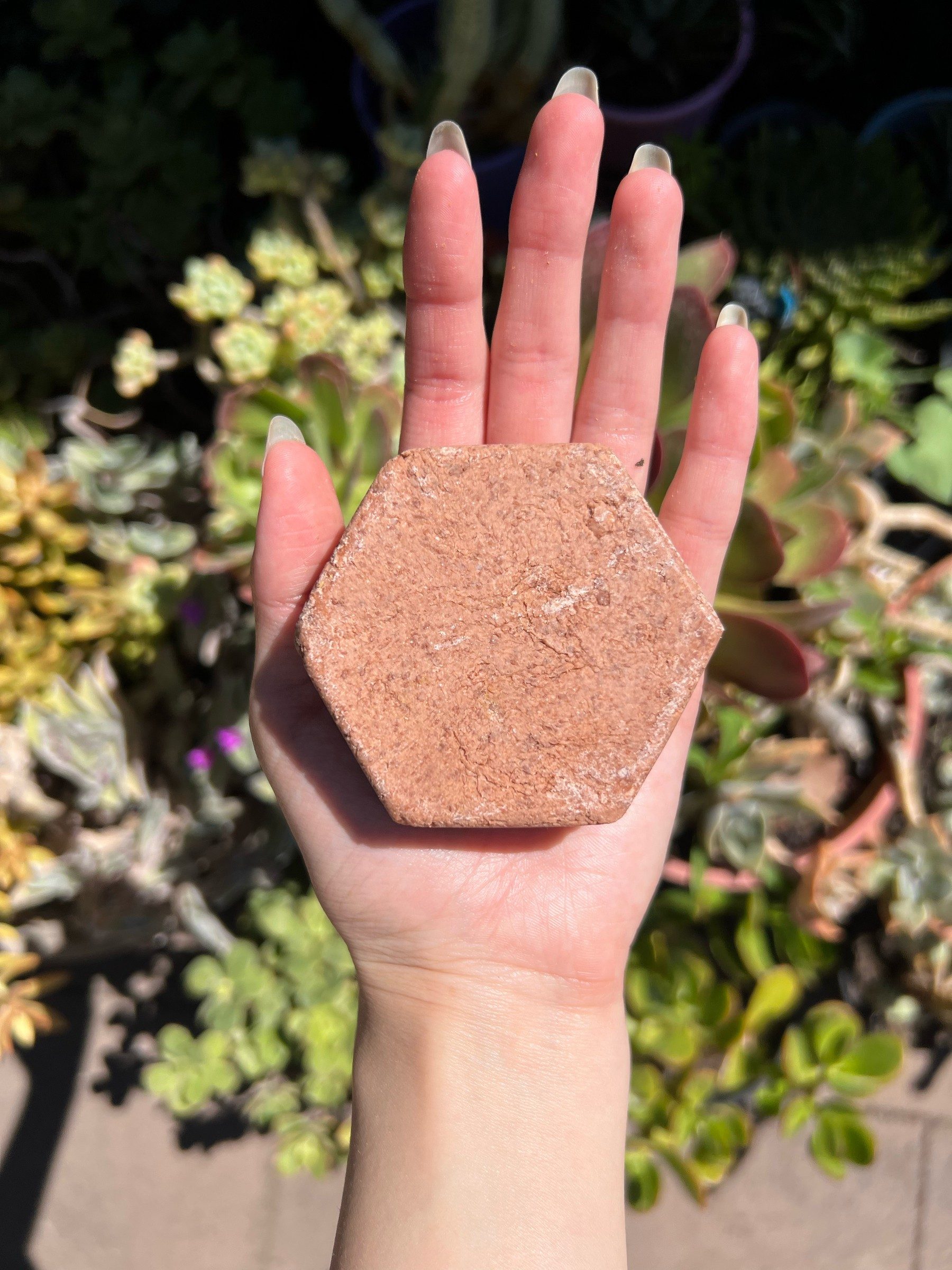 Hexagonal terracotta-pink French clay soap bar held on an open palm above succulents