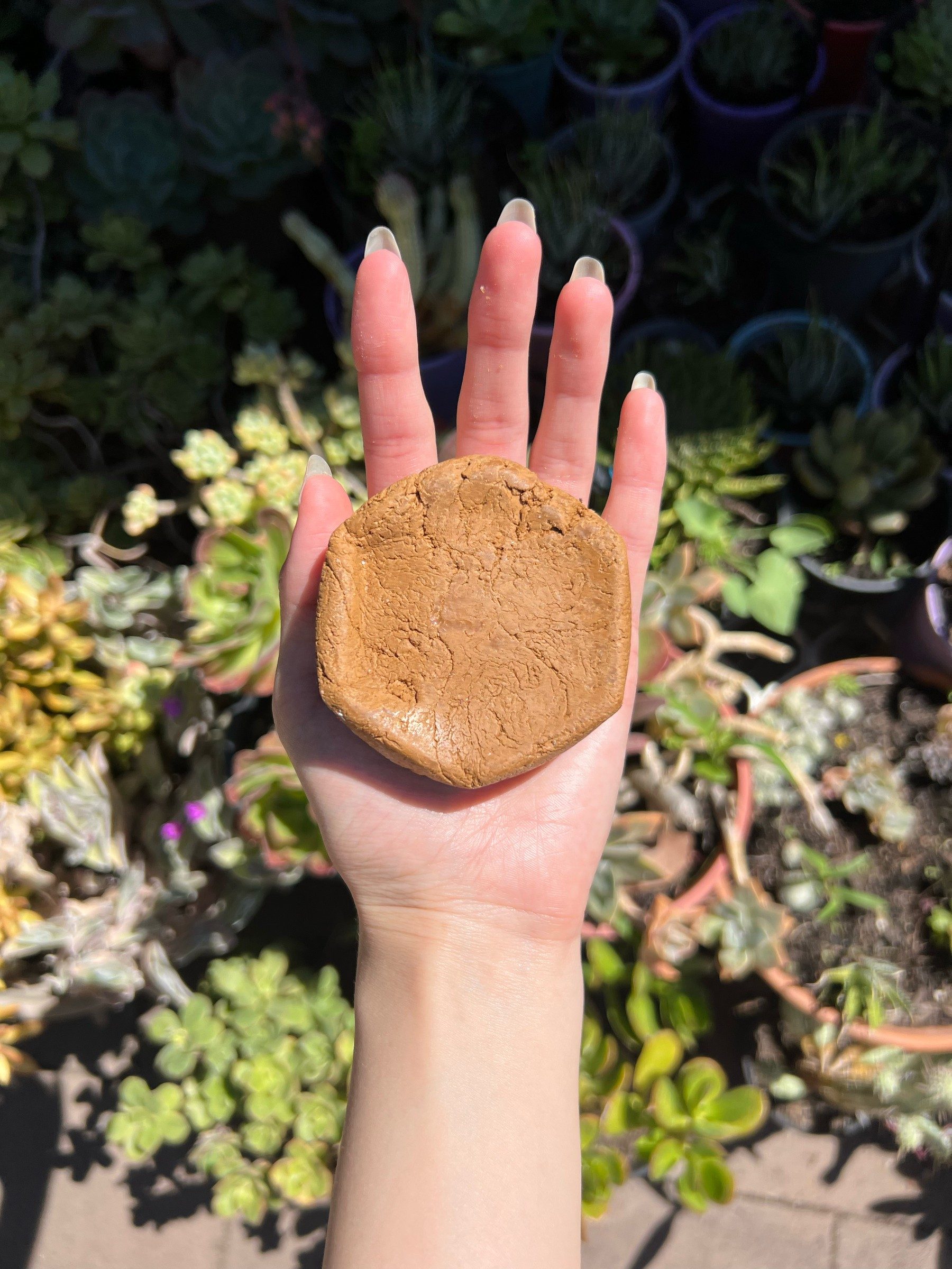 Hexagonal caramel-ochre clay soap bar held on an open palm above garden succulents