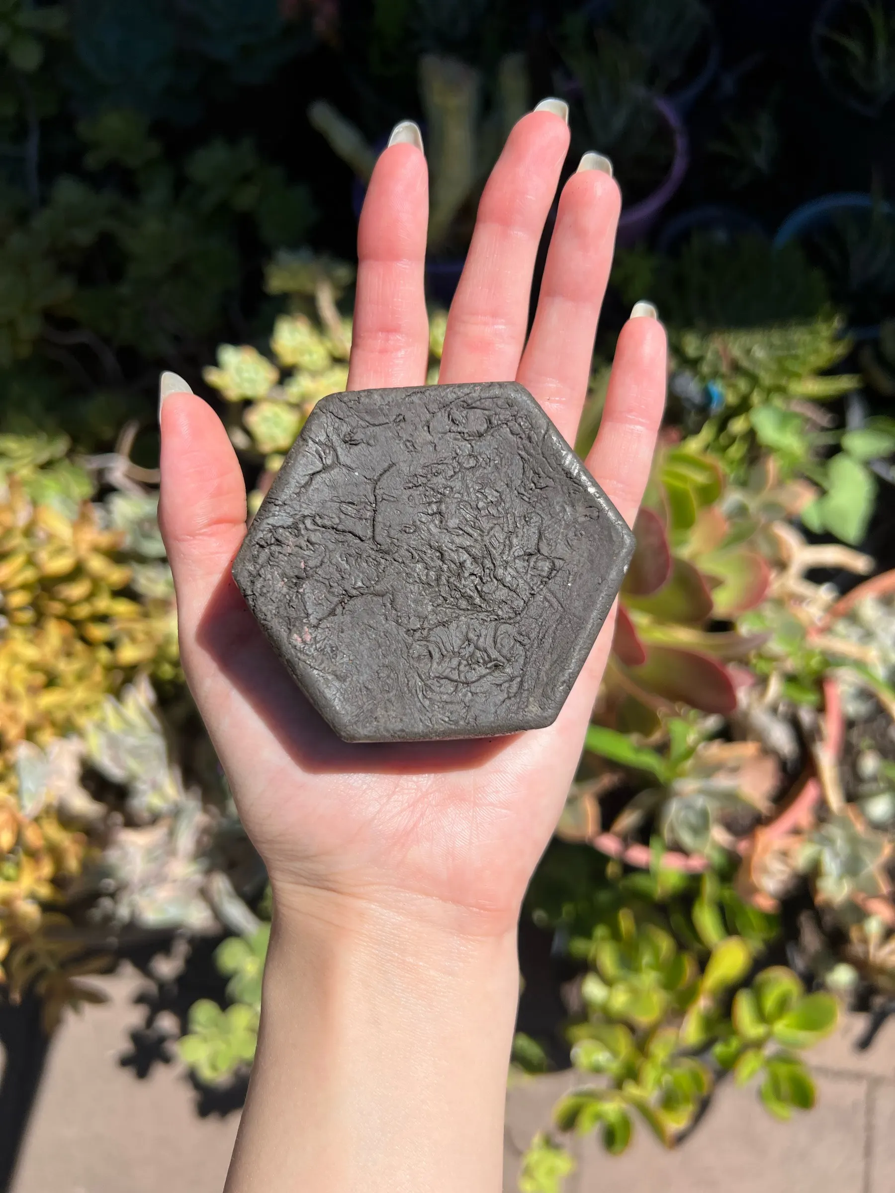 Hexagonal dark chocolate-grey clay soap bar held on an open palm above garden succulents