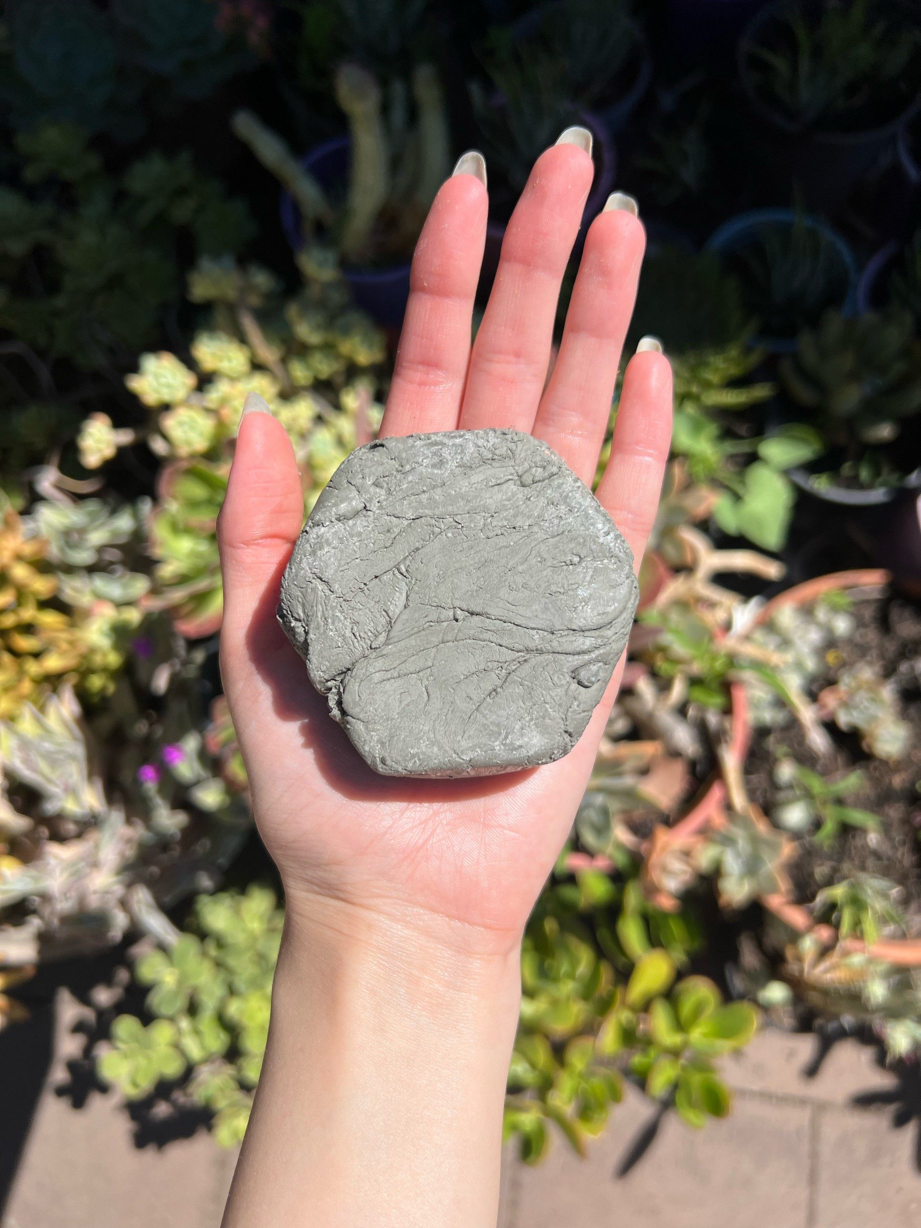 Hexagonal marbled grey Mediterranean sea clay soap bar held on an open palm in the garden