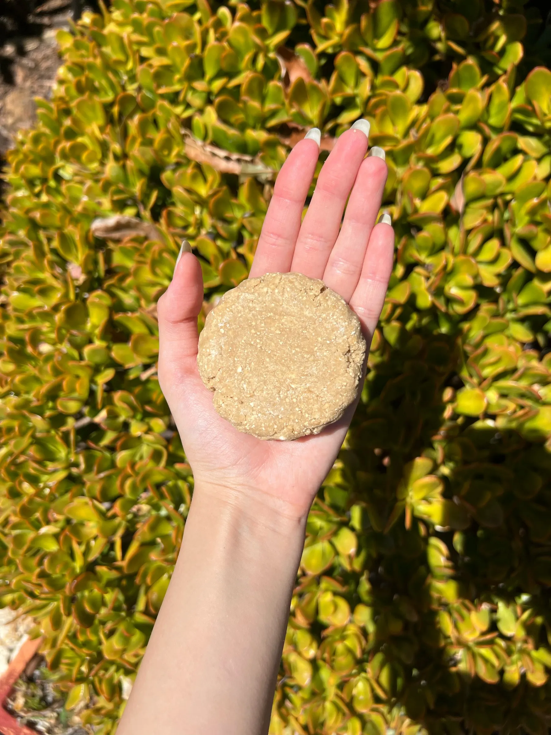 Warm sand-toned shampoo bar for coloured hair, held on an open palm against green shrubs