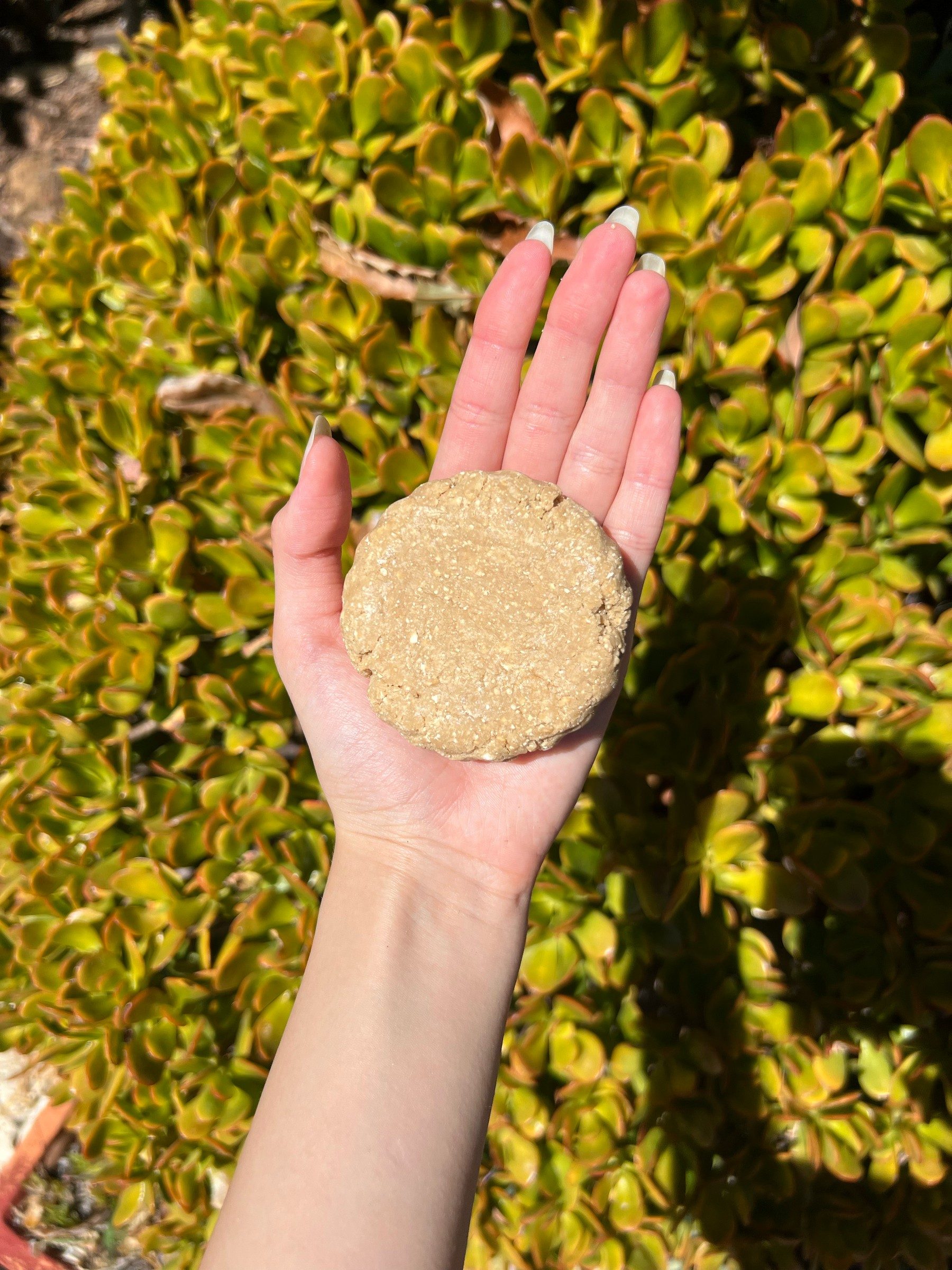 Warm sand-toned shampoo bar for coloured hair, held on an open palm against green shrubs