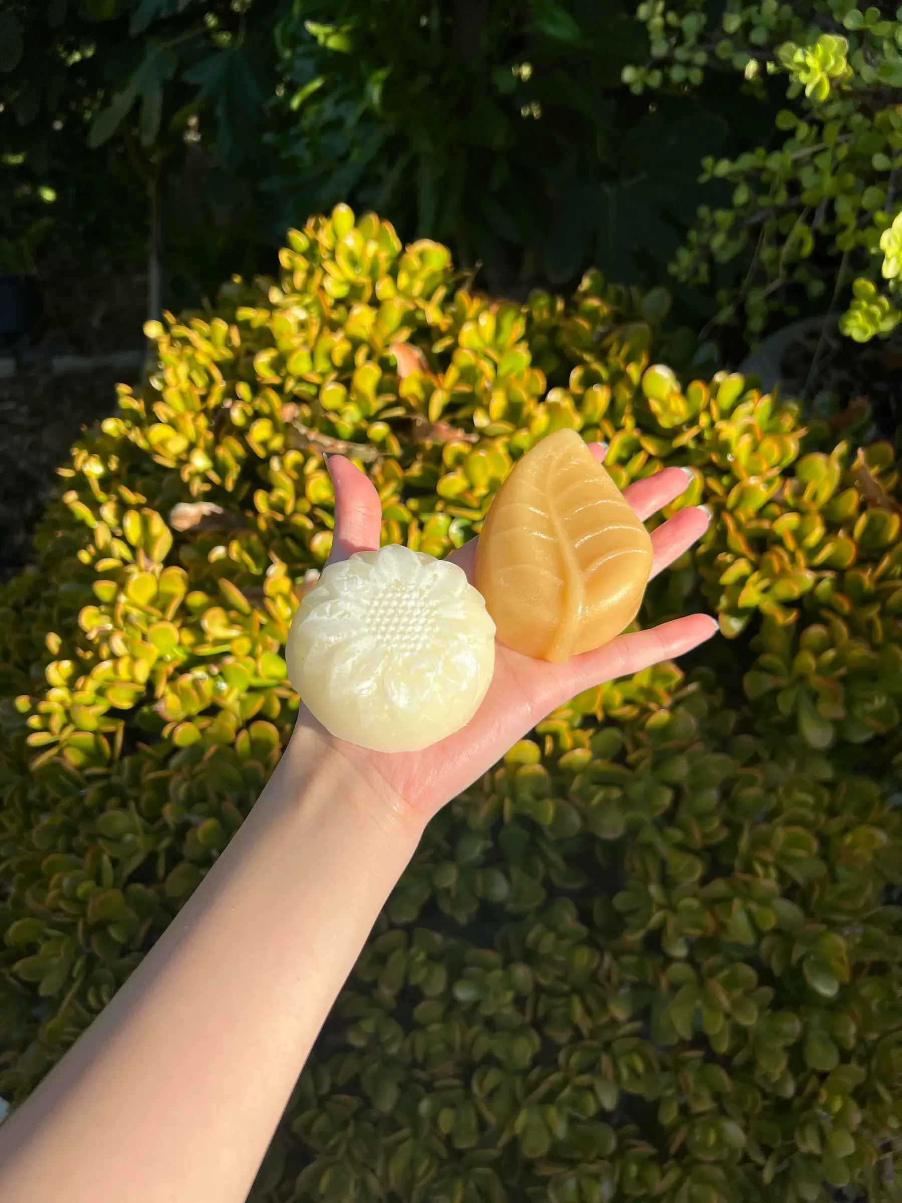 An amber leaf-shaped conditioner bar and a white flower-embossed bar held together