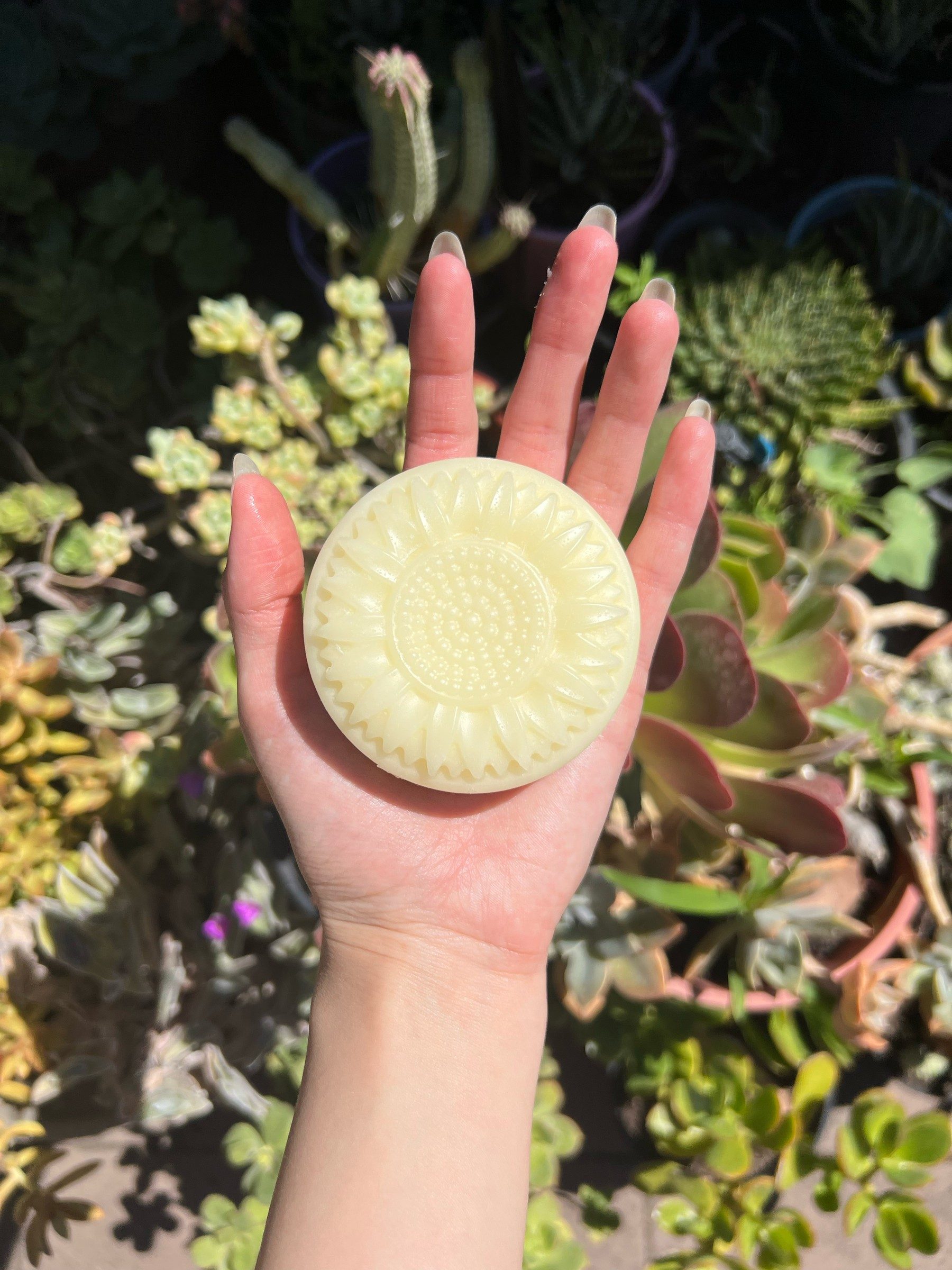 Pale yellow conditioner bar embossed with a sunflower pattern, held on an open palm