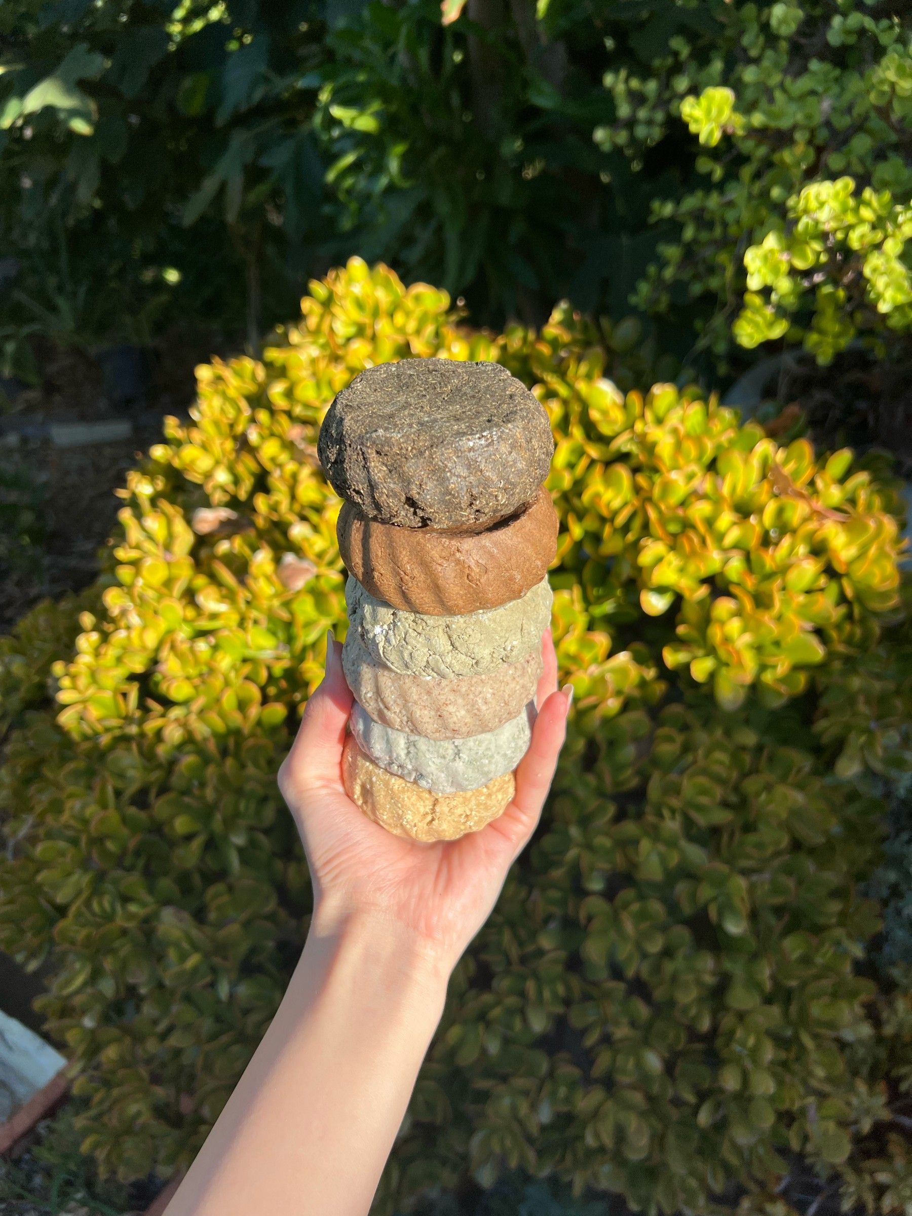 A hand holding a fan of six round shampoo bars — deep olive, chocolate, oat, cream and sand — against sunlit garden greenery